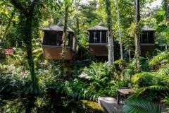 Romantic Rainforest Retreat | Daintree Eco Lodge 