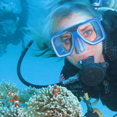 Great Barrier Reef Tour Cairns - Scuba diving on the Cairns Great Barrier Reef 