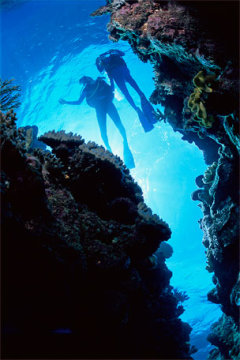 Scuba Diving Tours Port Douglas - Diving Outer Barrier Reef Pontoon