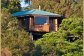 Secluded & Private Luxury Treehouses at Cairns Tablelands