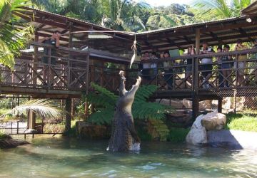 See the rangers hand feed the giant pre-historic crocodiles at Rainforestation Nature Park in Kuranda