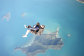 Skydive Cairns - Tandem skydiving