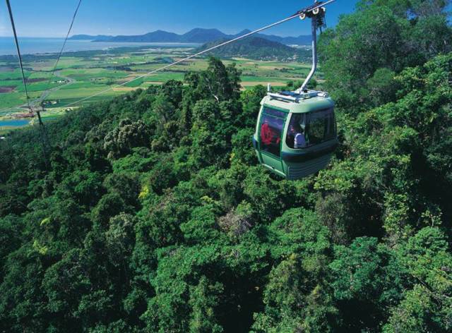 Skyrail Rainforest Cableway