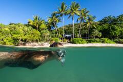 Snorkel at Fitzroy Island Resort, Cairns Island Resorts