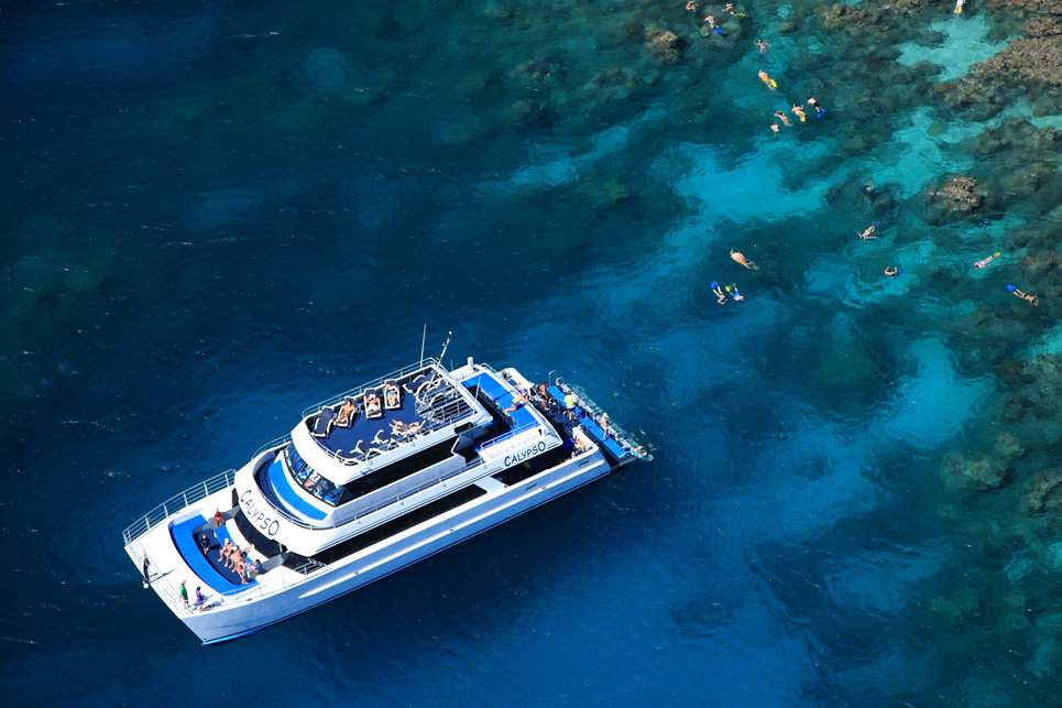 Port Douglas Snorkel & Dive Trip Great Barrier Reef Luxury Tour