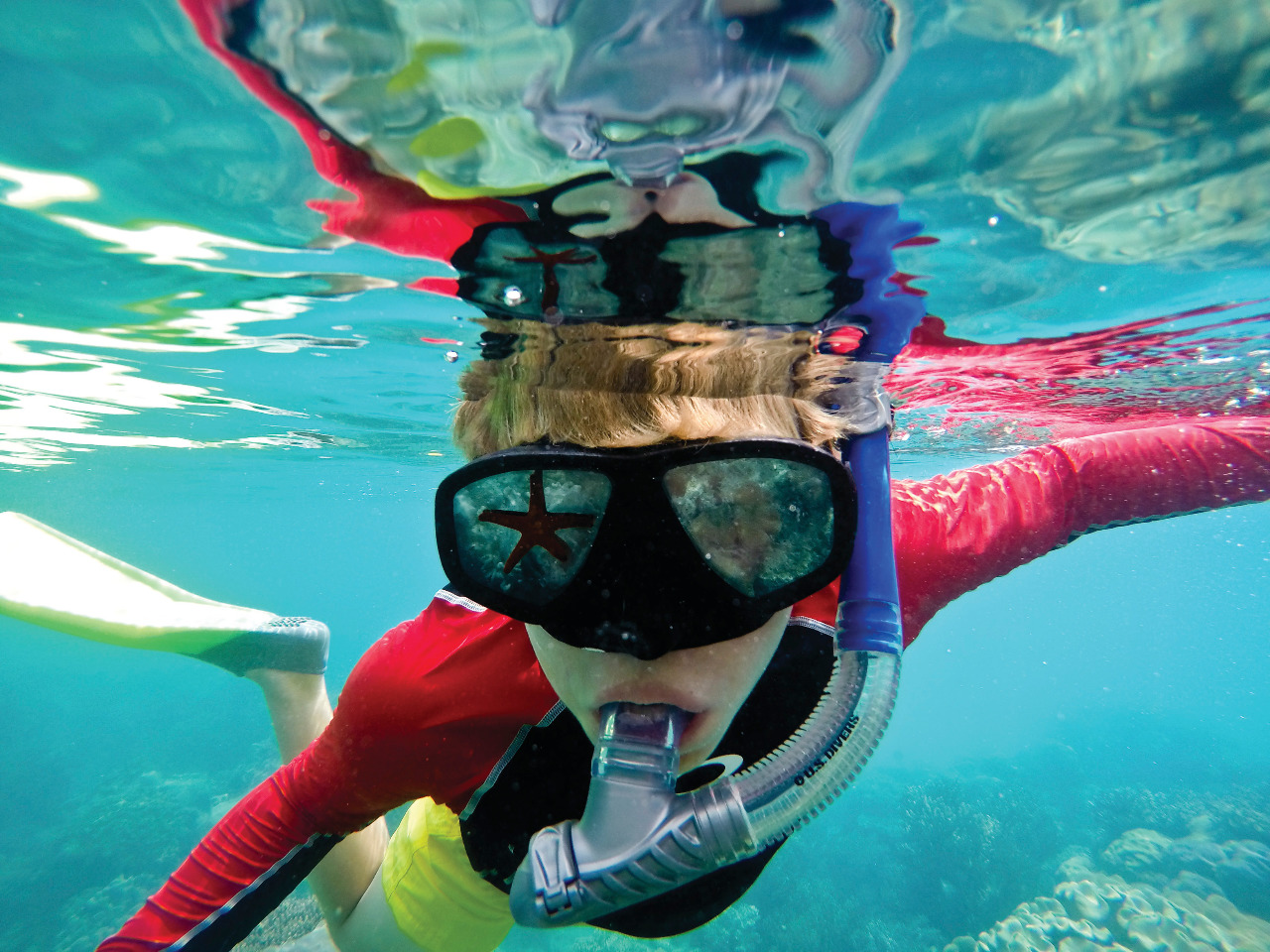 Great Barrier Reef Snorkelling Tips