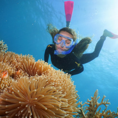 Snorkel on the Great Barrier Reef from Port Douglas Queenslandf Australia