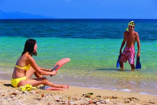 Snorkel Off The Beach | Low Isles Day Trip Ex Port Douglas