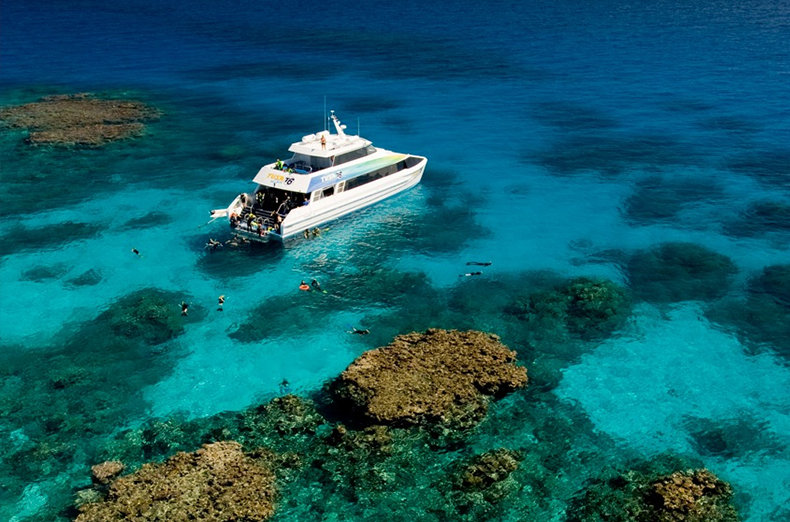 Cairns Scuba Dive & Snorkel Tour Great Barrier Reef Australia The