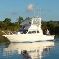 Snorkel Tours - Fishing Tours from Port Douglas 