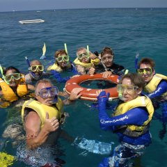 Snorkeling Tour Cairns | Great Barrier Reef Australia