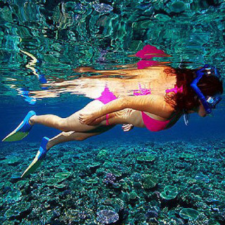 snorkel tours Great Barrier Reef Australia