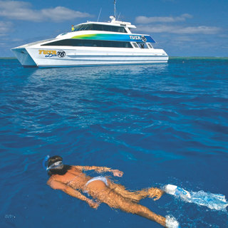 Snorkeling on The Great Barrier Reef