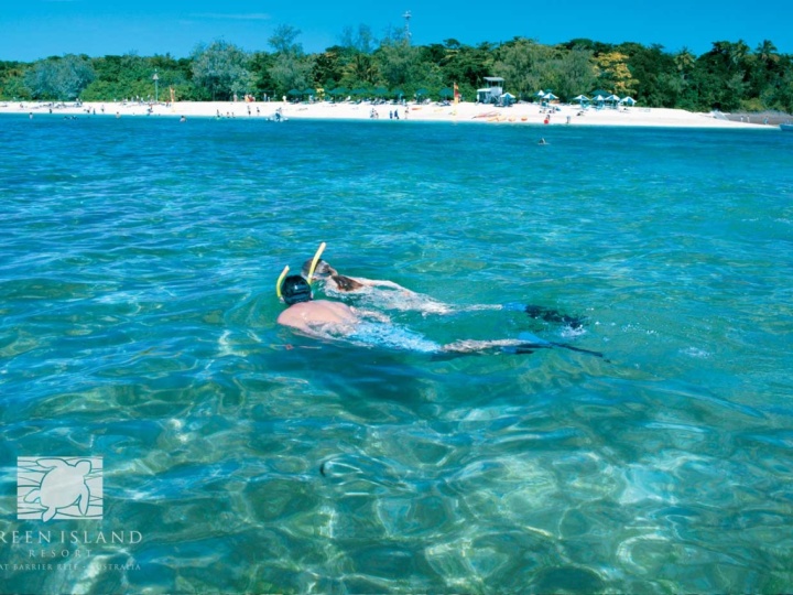 Snorkelling at Green Island Resort