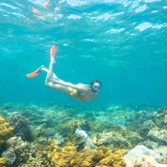 Snorkelling On The Great Barrier Reef | Moore Reef