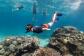 Snorkelling Tours from Port Douglas