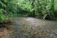 Stunning Coopers Creek
