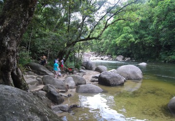 Mossman Gorge North Queensland Tour