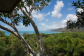 Stunning views from the Coral Sea Bungalow at Thala Beach Lodge