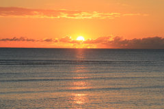 Sunrise Palm Cove Australia