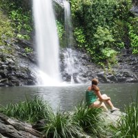 Swim at Cassowary Falls