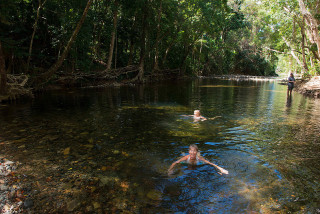 Swim in Emaggen Creek in the Daintree Rainforest