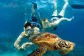Swim with turtles on Green Island
