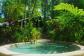 Swimming Pool at Heritage Lodge Spa Daintree