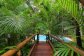 Swimming Pool Surrounded by Rainforest - Daintree Rainforest Holiday Home
