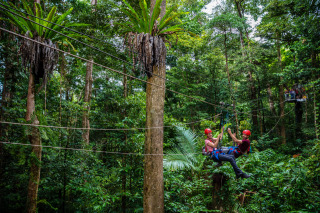 The DIR (Daintree International Raceway) Exclusive To Jungle Surfing Canopy Tours