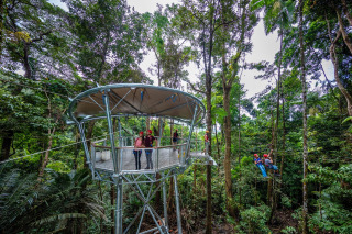 The Grandstand | Latest Upgrade | Jungle Surfing Canopy Tours
