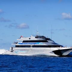 Return wavepiercer cruise to the Outer Great Barrier Reef | Departs daily from Port Douglas