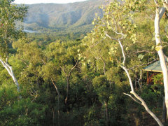 This Port Douglas Resort is a reknown naturalists resort