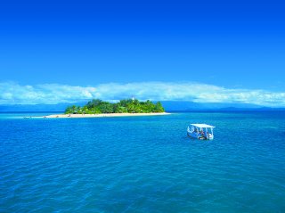 Glass bottom Boat Tour At Low Isles With Wavedancer