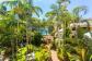 Tropical Gardens and tranquil swimming pool located on Palm Cove Beach