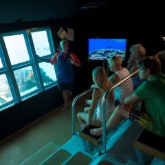 Great Barrier Reef Tour | Underwater observatory | Great Barrier Reef Tour