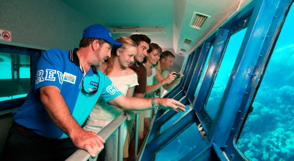 Cairns Reef Trips - Underwater viewing room on the Great Barrier Reef floating pontoon in Cairns