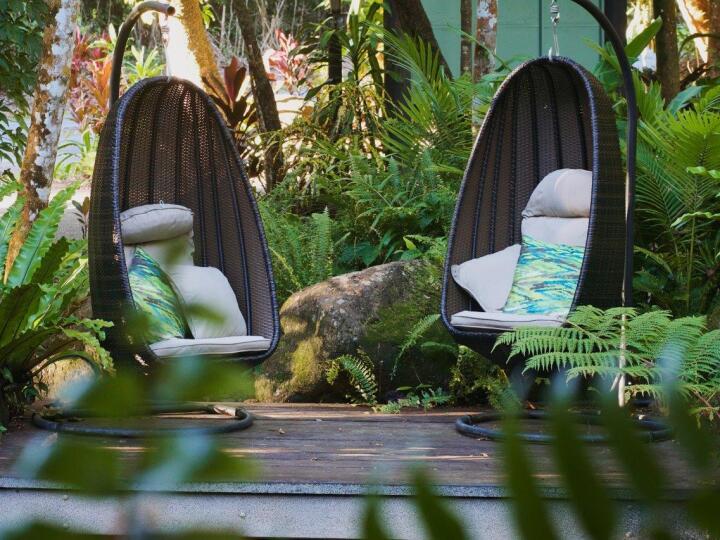Unwind and enjoy the sounds of the world heritage Rainforest - Daintree Eco Lodge
