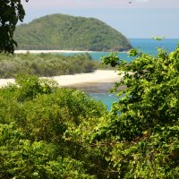 Daintree Rainforest lookout