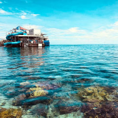 View of Coral and the Great Barrier Reef pontoon off Cairns