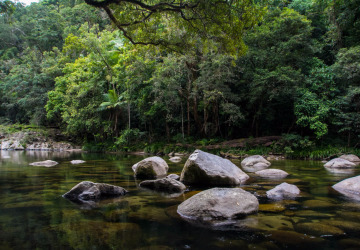 View of Mossman Gorge River Boulders 