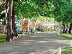 View of the Palm Cove esplanade