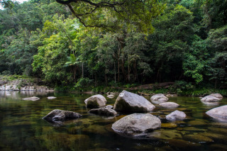 Visit beautifu Mossman Gorge for a refreshing swim