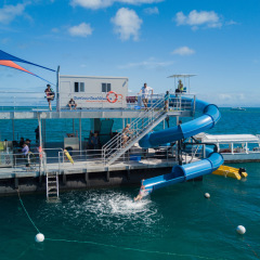 Great Barrier Reef Tour | Spaghetti Waterslide 