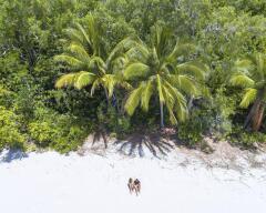 Where the Rainforest meets the Reef | Cape Tribulation