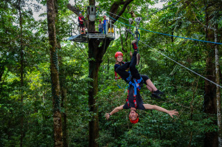 Ziplining In The Daintree Rainforest | Jungle Surfing Canopy Tours
